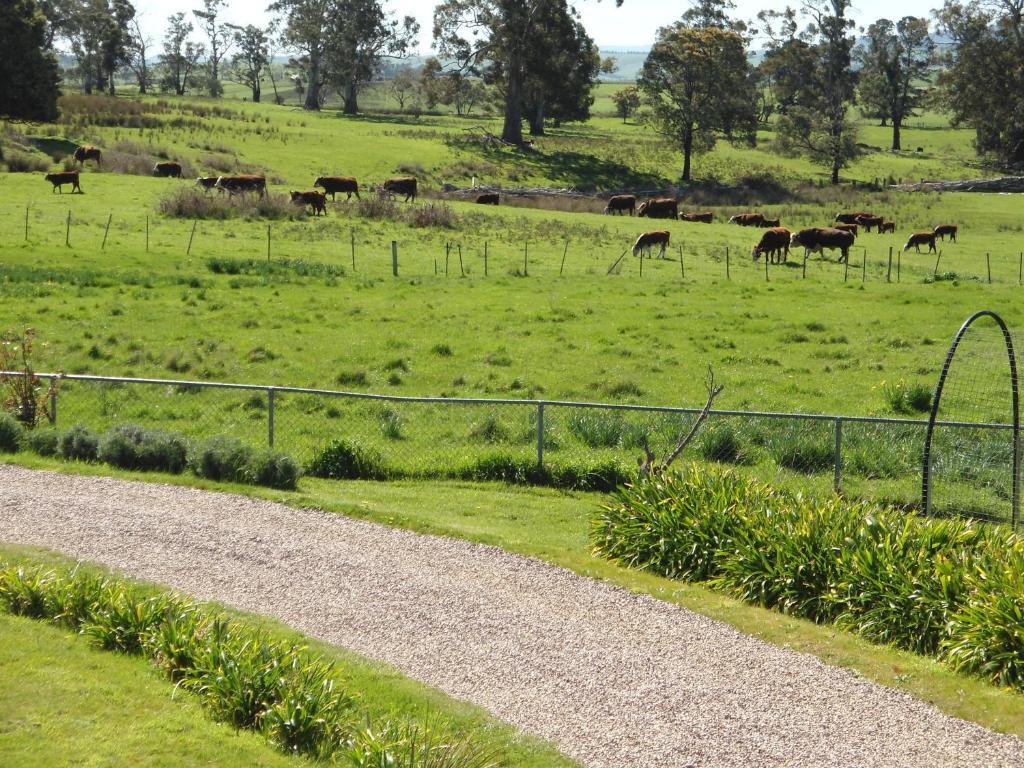 Roslyn House Bed & Breakfast Bushy Park Dış mekan fotoğraf